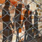 Shadows of people behind fence