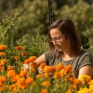 Katharina Ullmann amid flowers at Student Farm