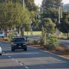 Photo: La Rue Road median