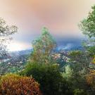 The County Fire as seen from Quail Ridge.