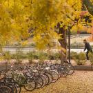 A student skateboards past bicycle racks.