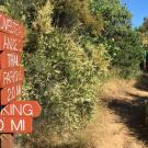 Wayfinding signs at Stebbins Cold Canyon.