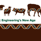 Illustrated header: Genetic Engineering's New Age