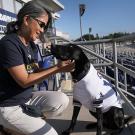 Alumna Lisa Tell with dog Cori at the stadium