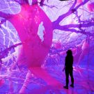 Woman standing in front of neuron exhibit