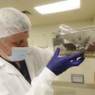 A researcher holds a clear plastic cage with a small mouse in it. A molecule found in the keto diet plays a key role in preventing early memory decline in mice. The memory loss is comparable to mild cognitive decline in the early stages of Alzheimer's disease. (UC Davis School of Veterinary Medicine)