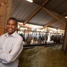 A dark-skinned man in a white shirt with folded arms stands to the left. Behind him and on the right a row of feeding cattle. 