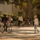 Students riding bikes and walking around a busy UC Davis campus. 