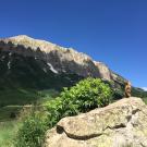 Marmot stand up on rock looking out on Sierra mountains under blue skiess