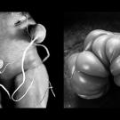 Black-and-white photos of vegetables.