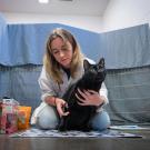 Animal Science Ph.D. student Jen Link holds a black cat on the floor of the Sacramento SPCA. She is researching the best way to create a stress-free nail trimming experience for the animal and humans. (Jael Mackendorf/UC Davis)