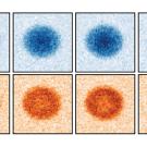 Two rows of four squares each containing a fuzzy blob. The top row is colored blue and the bottom row is colored orange. 