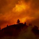 wildfire. and smoke rises over hill and trees in forest at night