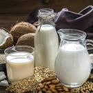 A glass, a bottle and a jug of milk surrounded by tree nuts, seeds, grains and coconuts. 