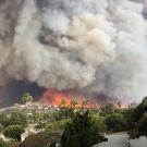 Wildfire smoke from the Woolsey Fire in 2018 billows behind trees and houses in Malibu, California. 