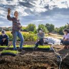 Students gardening in Yolo County near UC Davis student farm