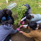 Planting a tree on campus