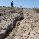 View of cracked earth from earthquake with a geologist in the background