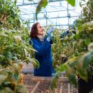 A woman in a blue lab coat is seen inside a greenhouse surrounded by plants.