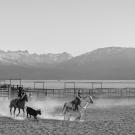 Mitchell Snyder's winning photograph