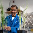 A man in a blue lab coat and glasses works with a plant in a lab setting. 