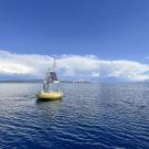 Blue sky above blue water with a floating object just left of photo center. 