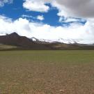 Landscape photo of plain with snowy mountains in background.