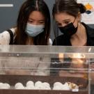 Two people in masks watch chickens hatch