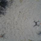 Seen from above range flags in sand with shadow of quadricopter drone. 