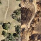 Aerial drone image compost of wildlands before and after wildfire