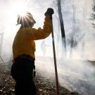 Sunlight shines over the helmet of a woman in firefighting yellow shirt amid smoky woods during a prescribed burn