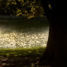 Sun's reflection on Lake Spafford