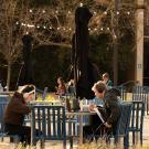 Students studying on campus