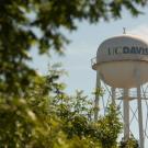 The water  tower with greenery in the foreground