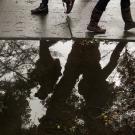 Legs (only) reflected in puddle