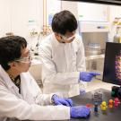 Two scientists in white lab coats look at a screen to the right. The screen shows a multiple image of small items on the bench in front. 