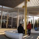 Manetti Shrem Museum