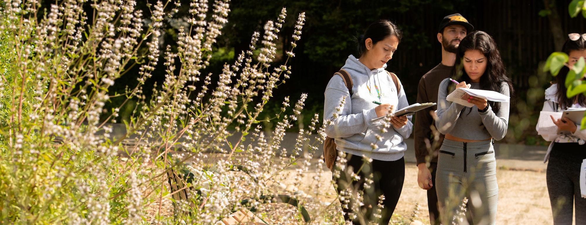 Students taking notes in an outdoor area on the UC Davis campus