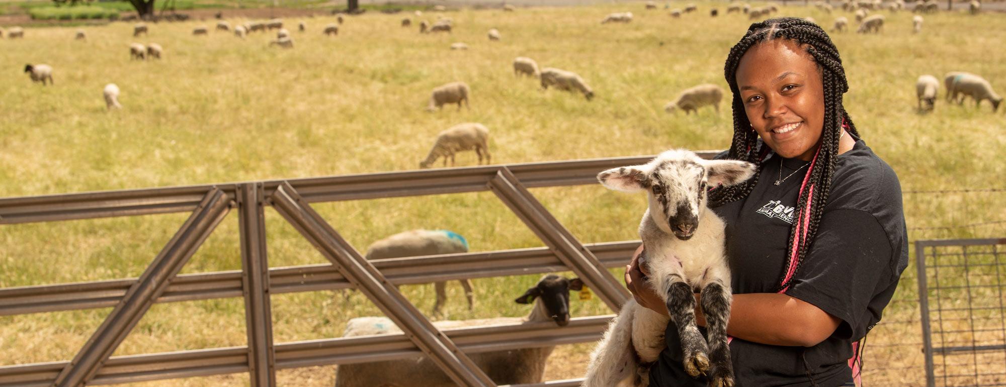 A UC Davis Animal Science student holds a baby goat