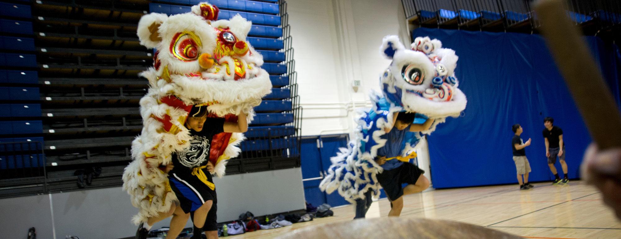 Several students practice the traditional Chinese "Lion Dance"