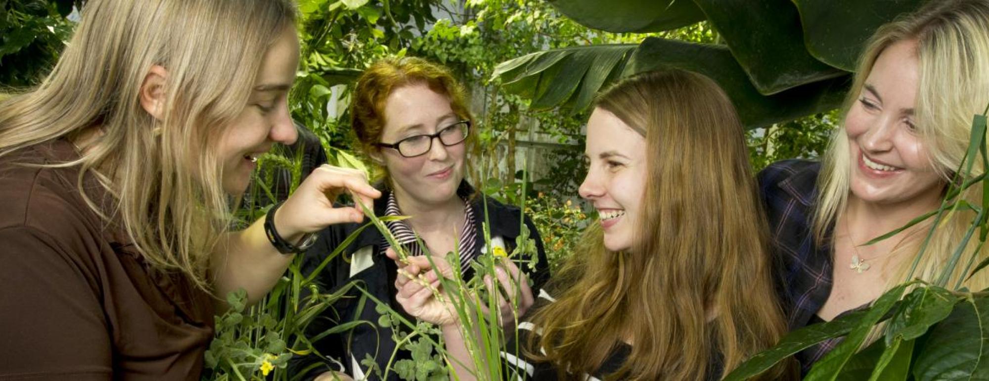 environmental horticulture and urban forestry students stand among plants 