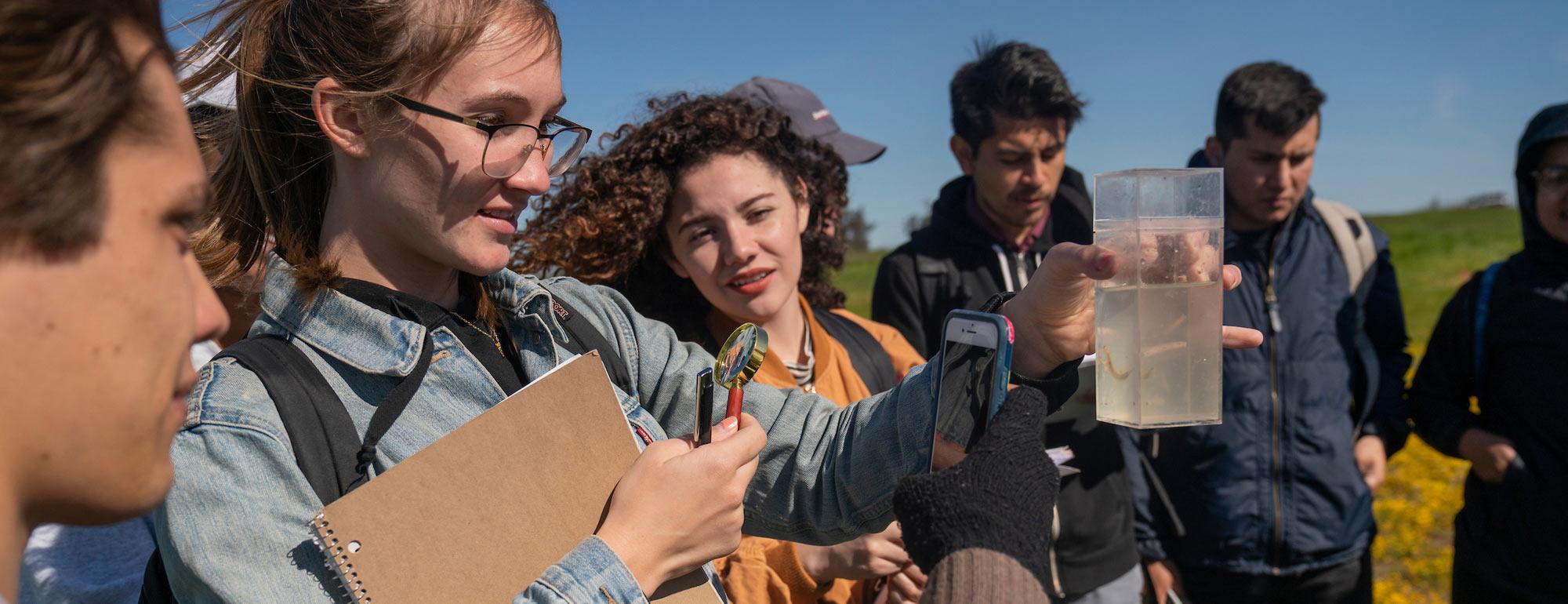 Students examine a field specimen