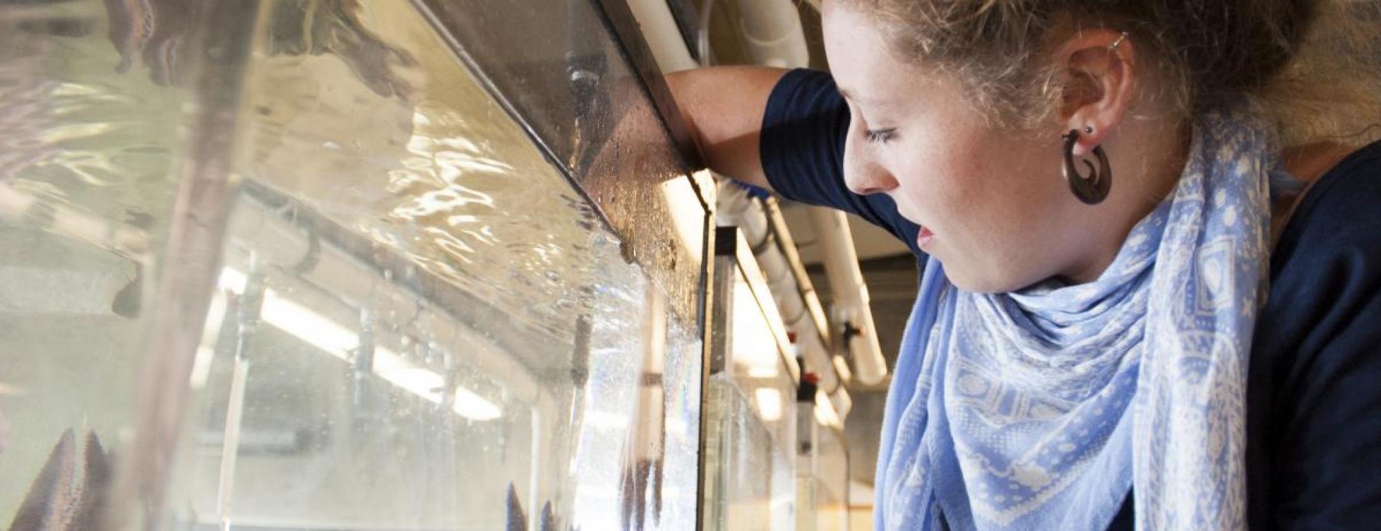 uc davis student reaches into fish tank