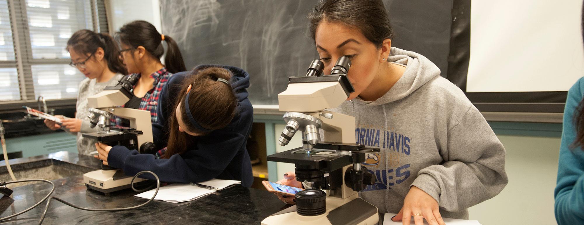 A student examines a plant specimen with a microscope