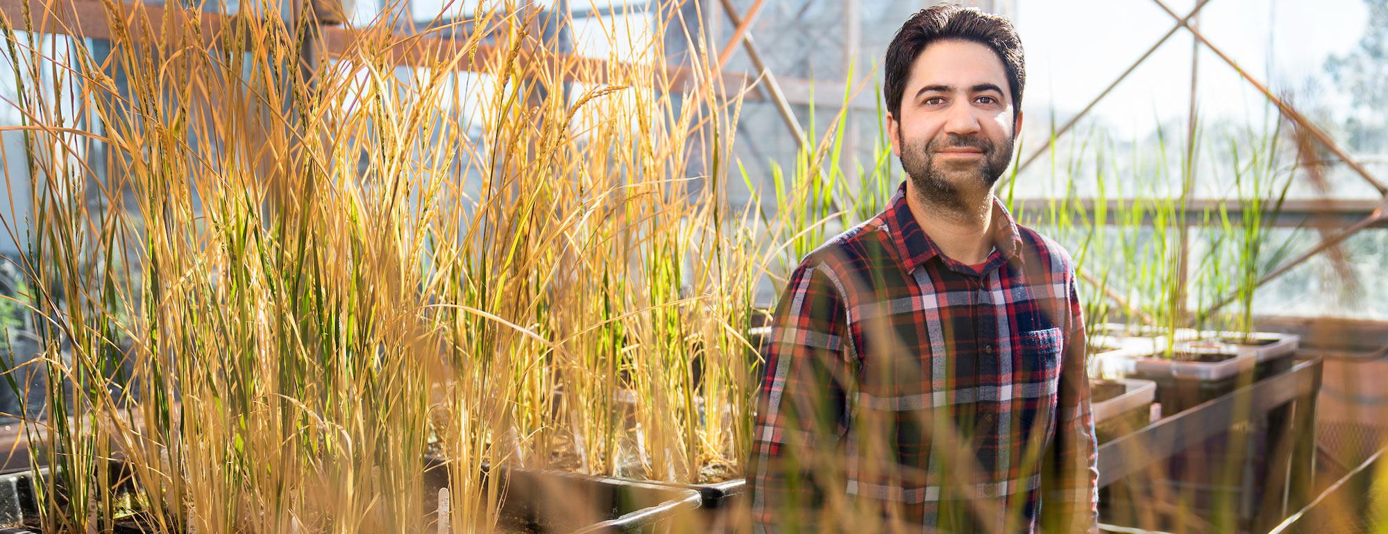 A male student poses with several grass samples 