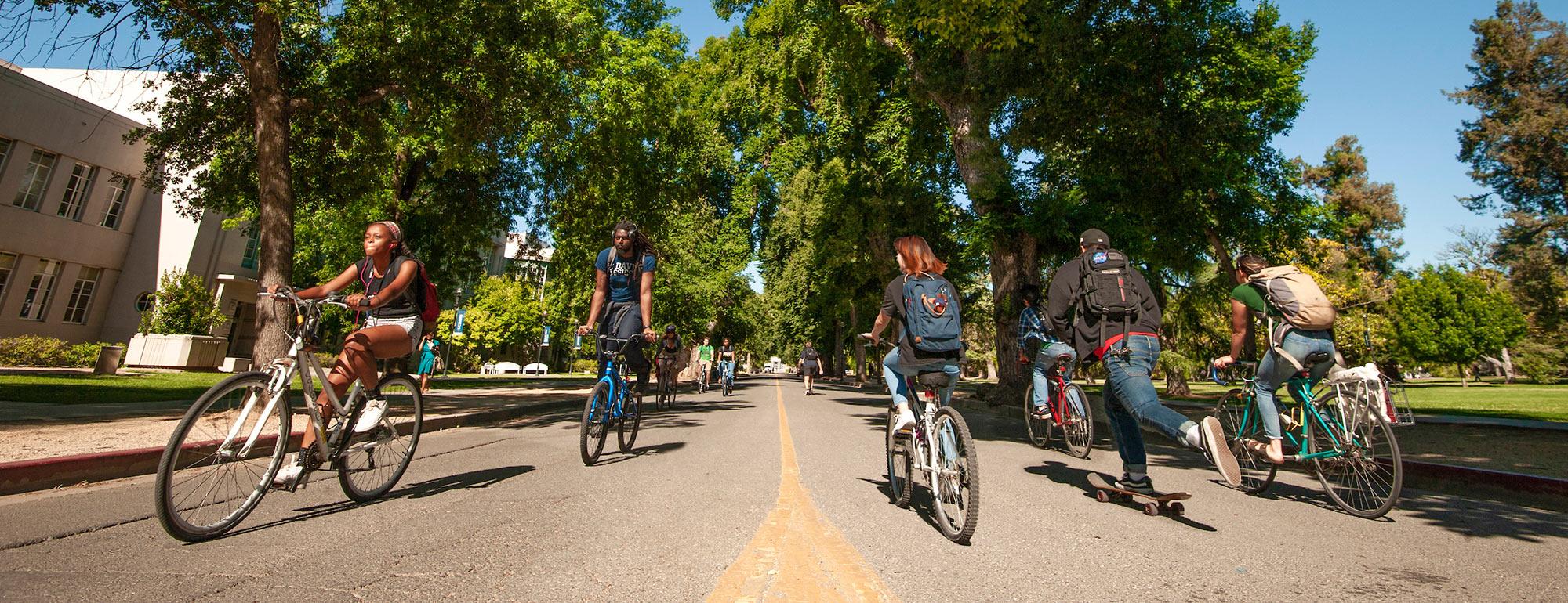 Students riding bicycles on west quad UC Davis