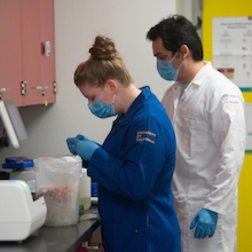 Two masked researchers examine results at a lab at UC Davis. 