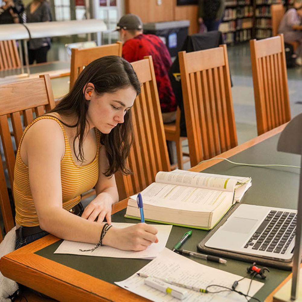 student studies in the library