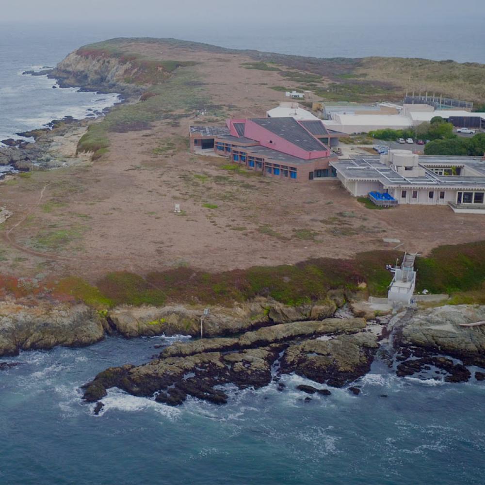 Aerial view of the UC Davis Bodega Marine lab