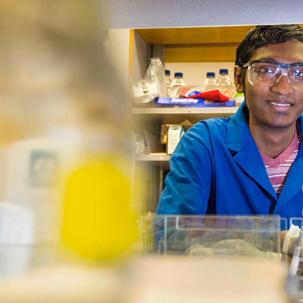 A Cell biology student peeks out from behind the samples he has been working with